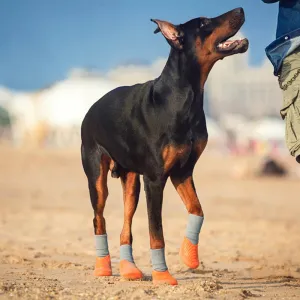 4PCS Dog Shoes Waterproof