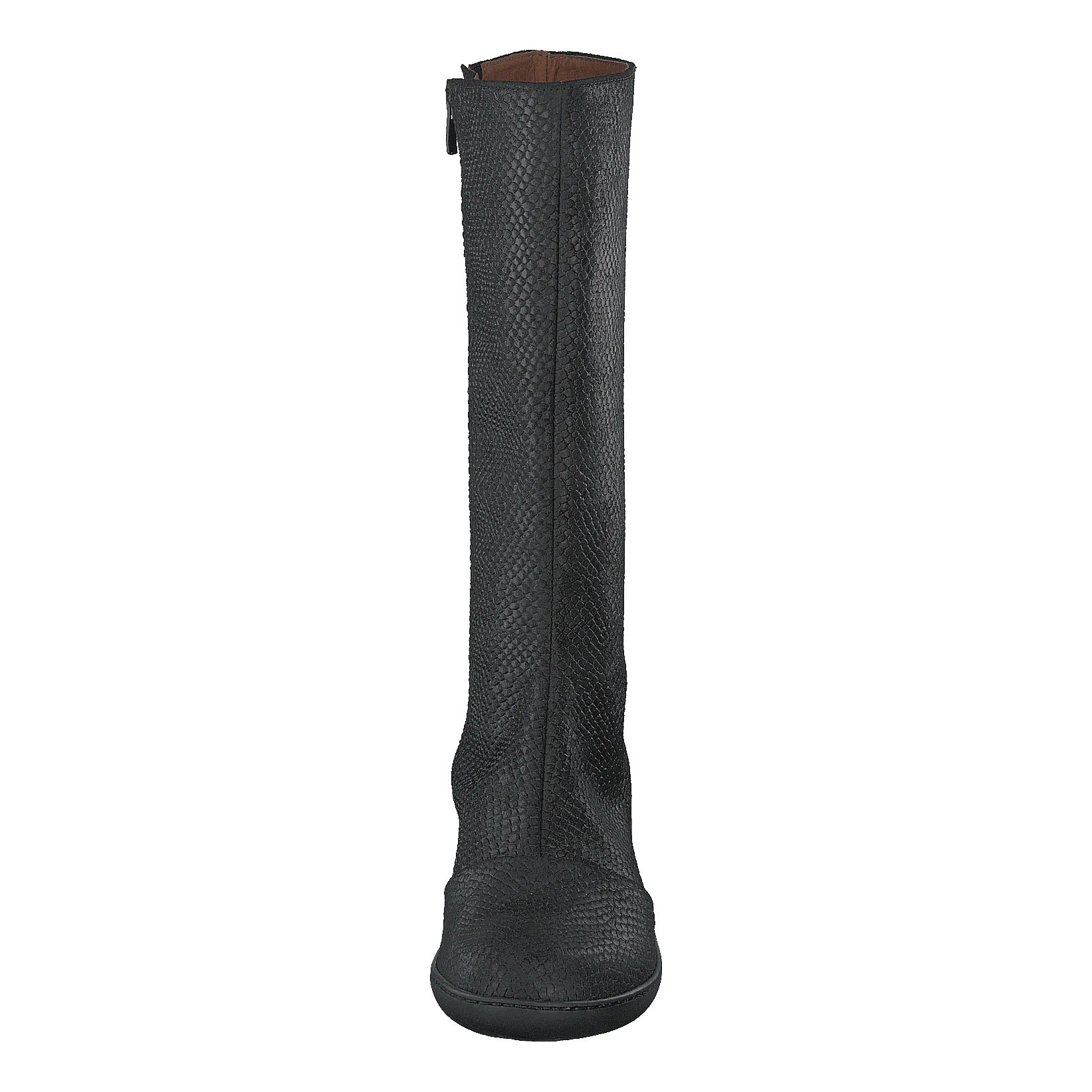 Alfama Black