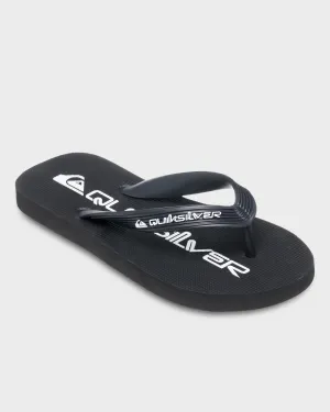 Boys 8-16 Java Wordmark Flip-Flops