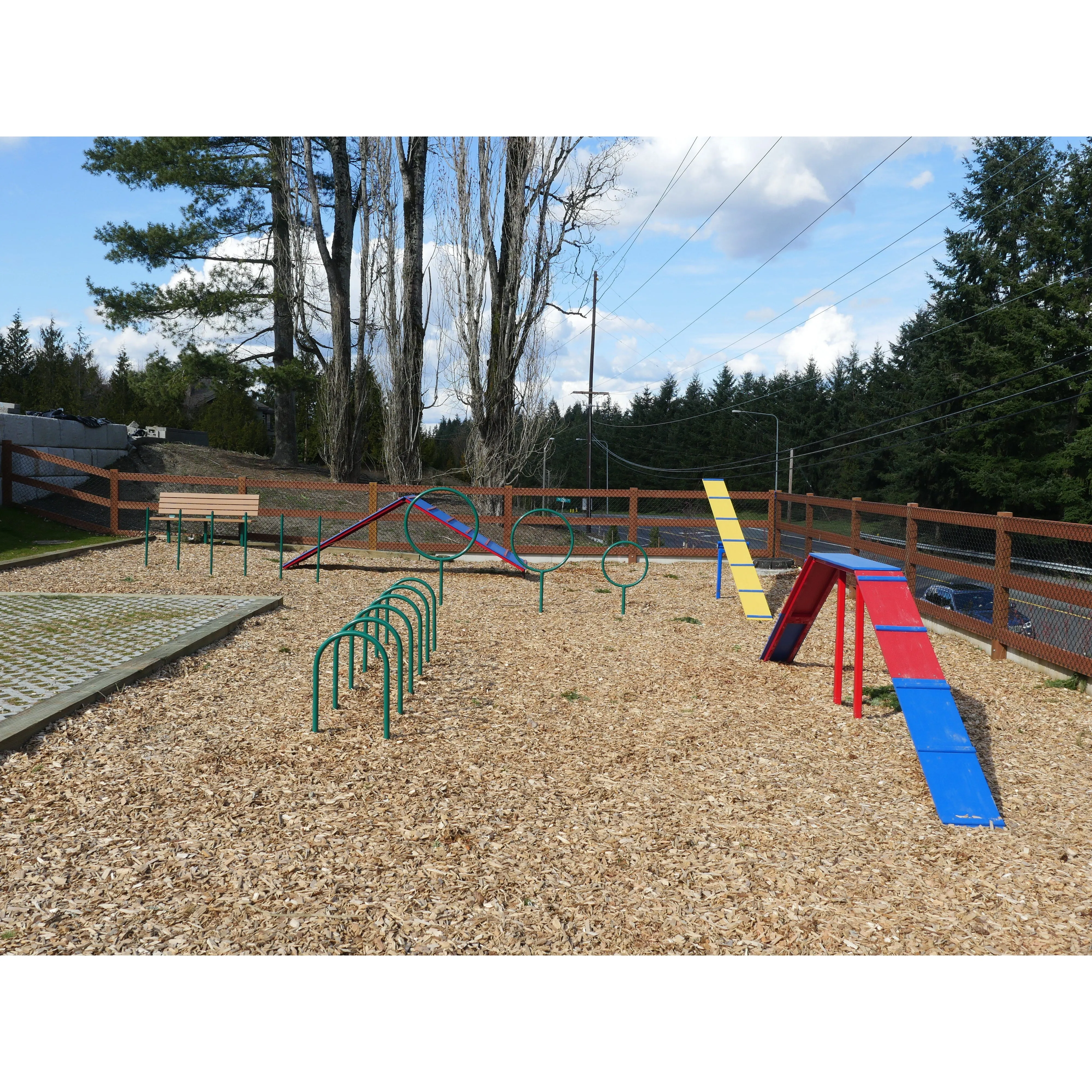 Doggie Playsystems Small Teeter Totters