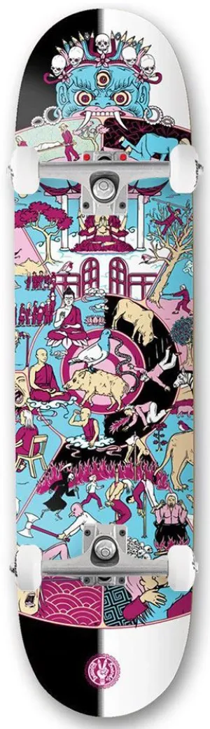 Drawing Boards Wheel of Life 2 Custom Complete Skateboard - 8.25"