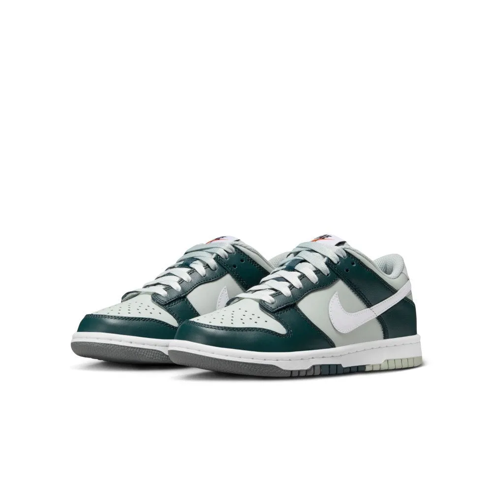 Dunk Lifestyle Shoes