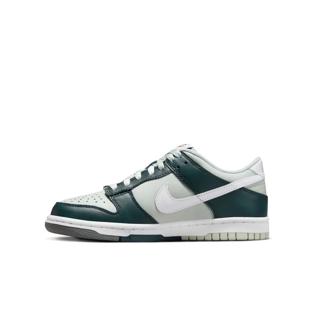 Dunk Lifestyle Shoes