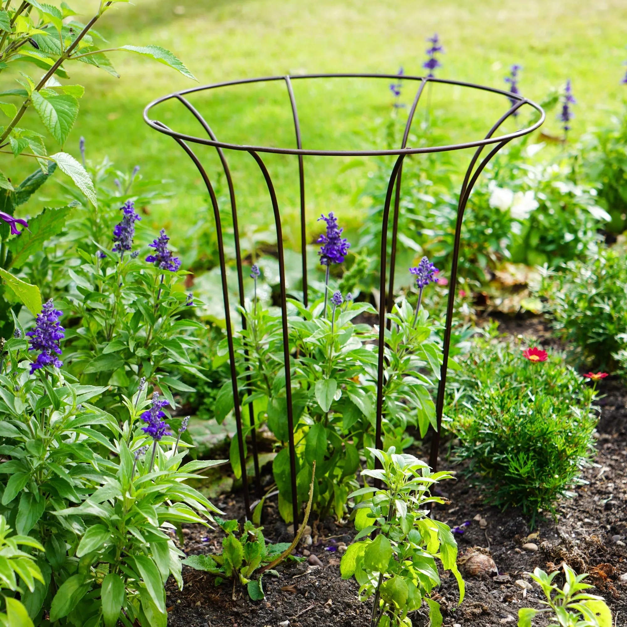 Outdoor Fluted Climber