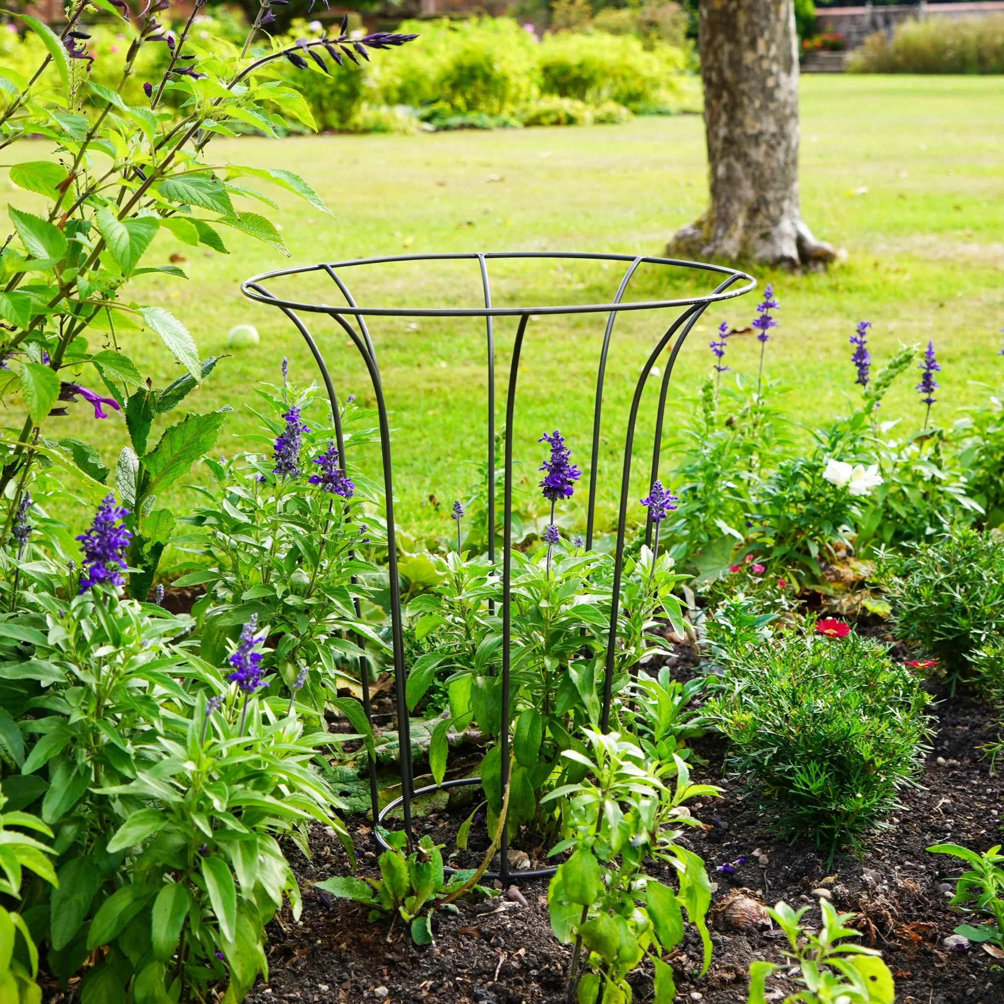 Outdoor Fluted Climber