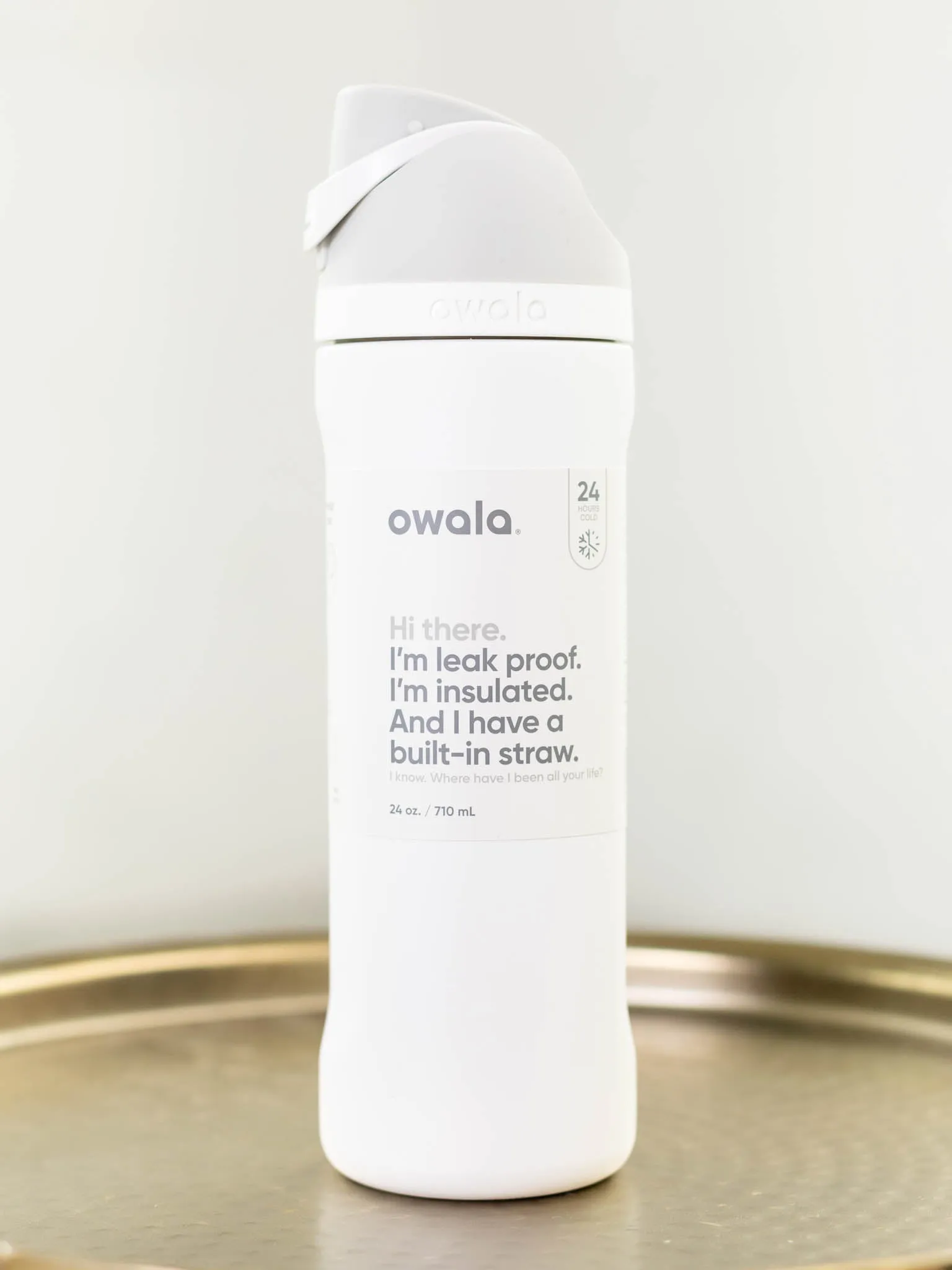 OWALA 24oz Stainless Steel FreeSip Bottle