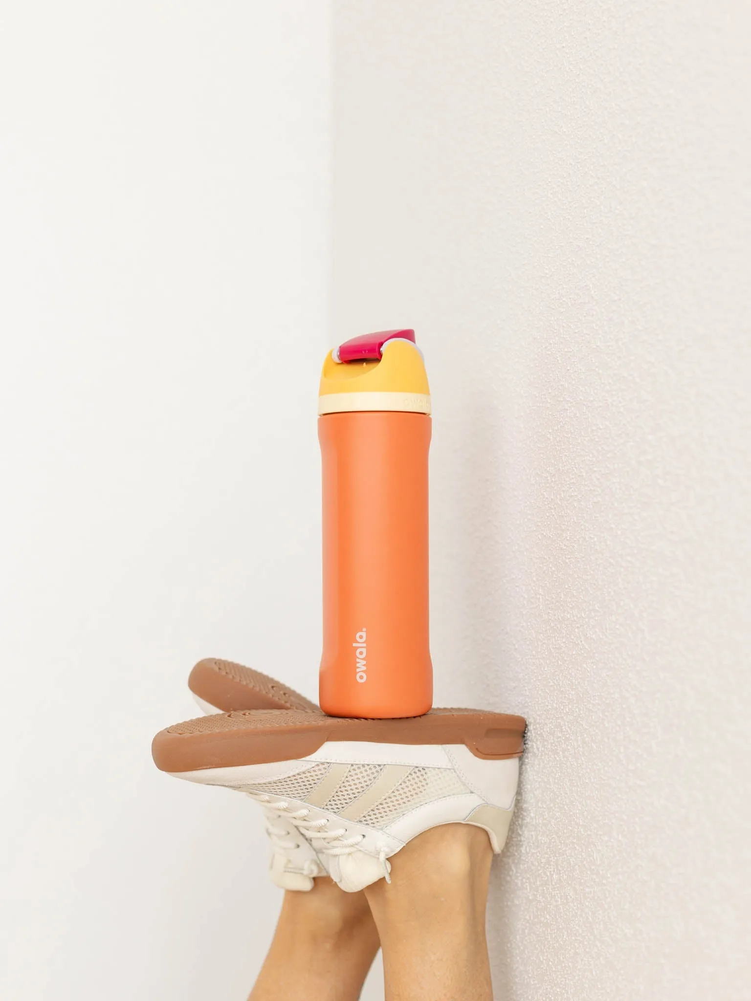 OWALA 24oz Stainless Steel FreeSip Bottle