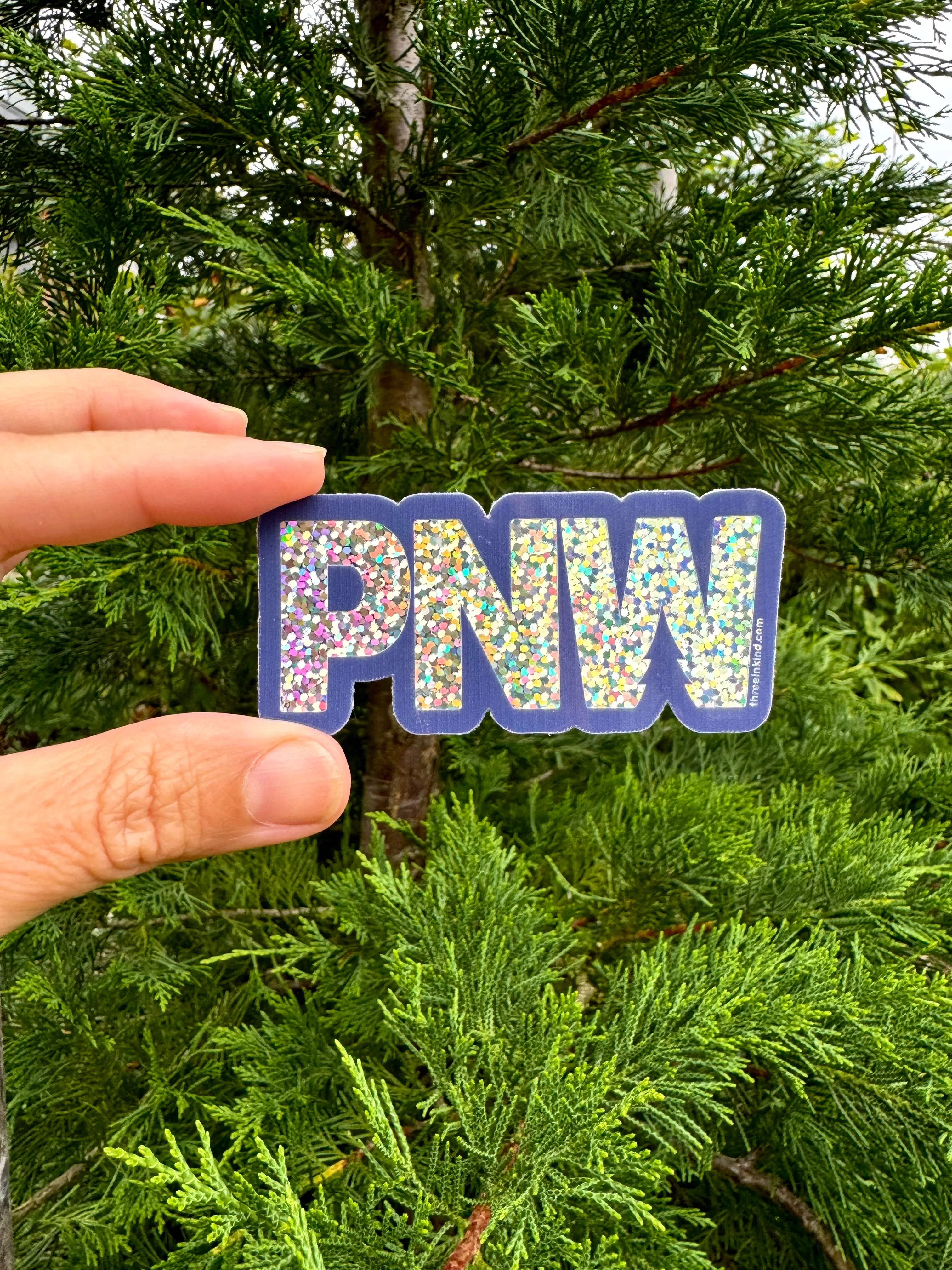 PNW Glitter Cutout 3” Sticker / Decal