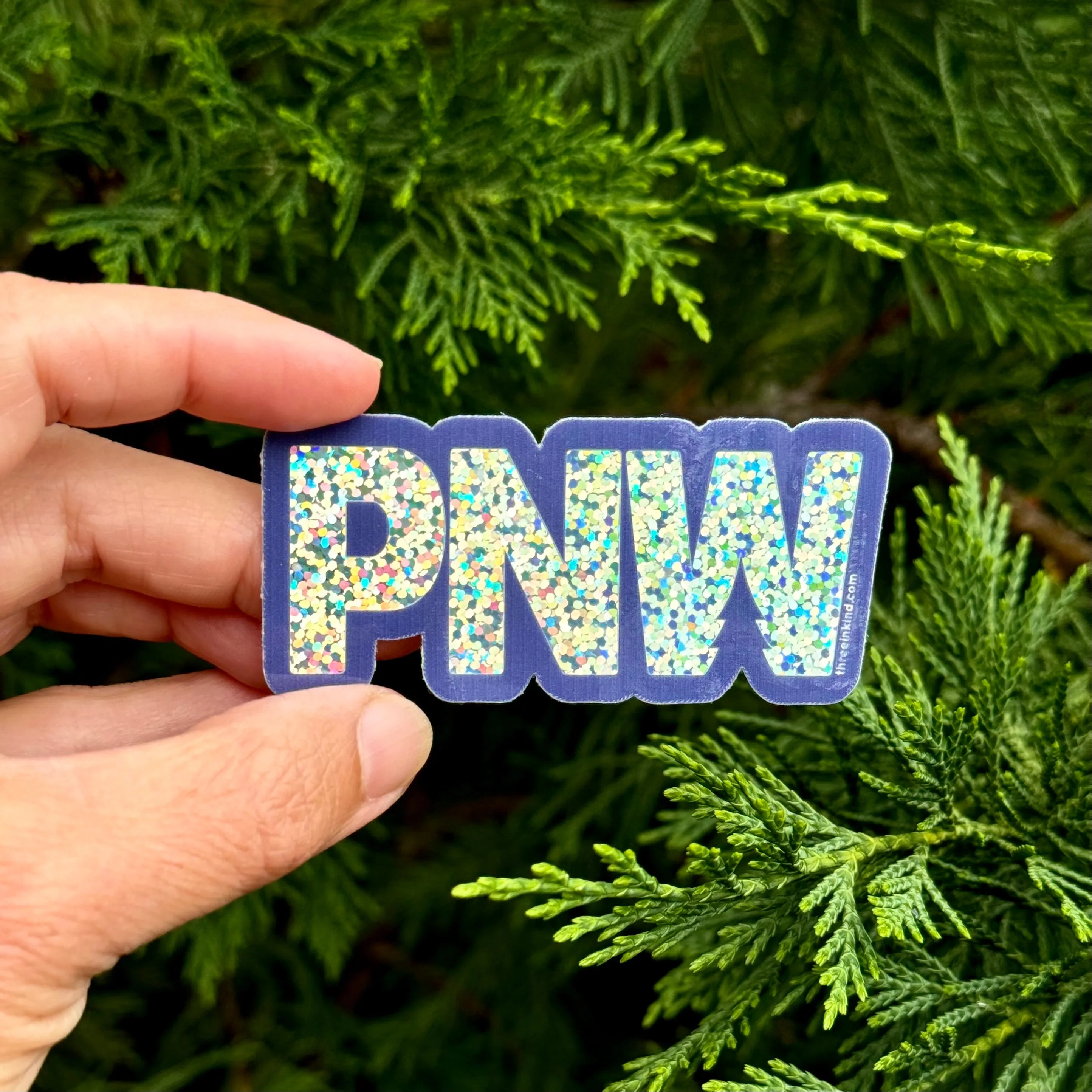 PNW Glitter Cutout 3” Sticker / Decal