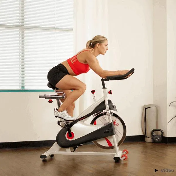 Premium Cycling Exercise Bike Indoor Fitness Belt Drive Clipless Pedal SF-B1509