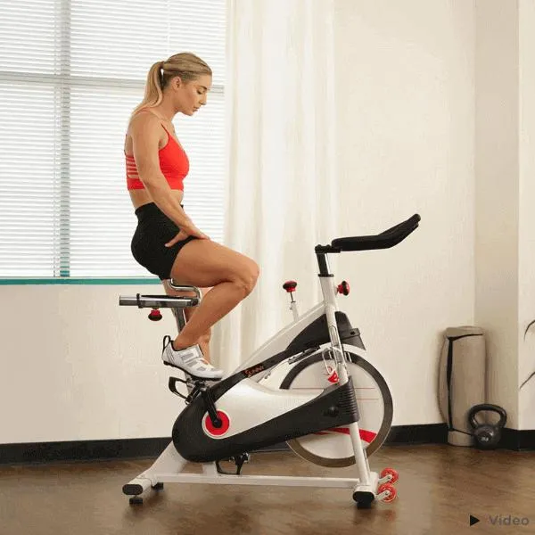 Premium Cycling Exercise Bike Indoor Fitness Belt Drive Clipless Pedal SF-B1509