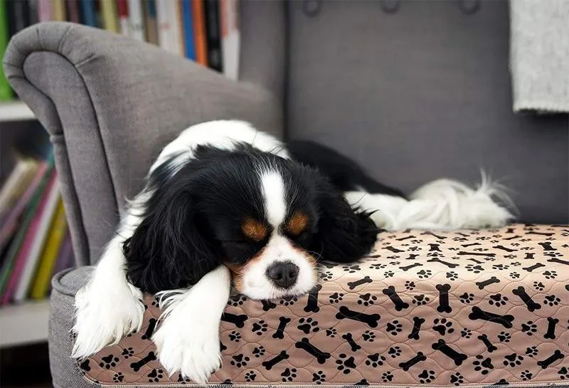 Reusable Dog Pee Mat