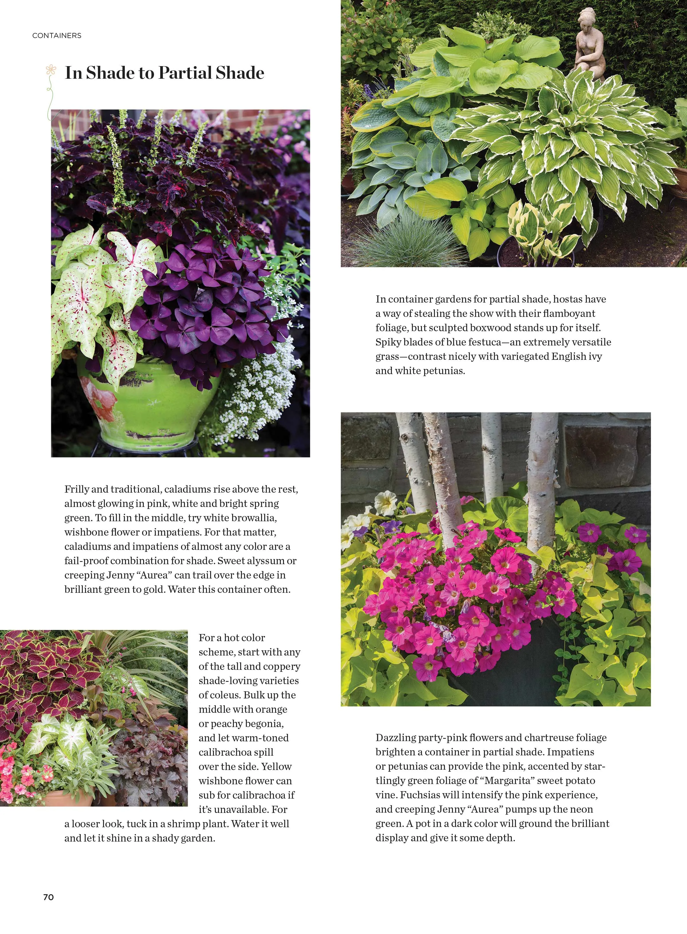 Spring Gardening - Indoor & Outdoor Gardens, Testing Soil, Planting, Watering, Tools, Shade, Pollinator, Containers, Cutting, Harvest, Tomatoes, Herbs, Raised Beds, Landscaping, Interior Design & More