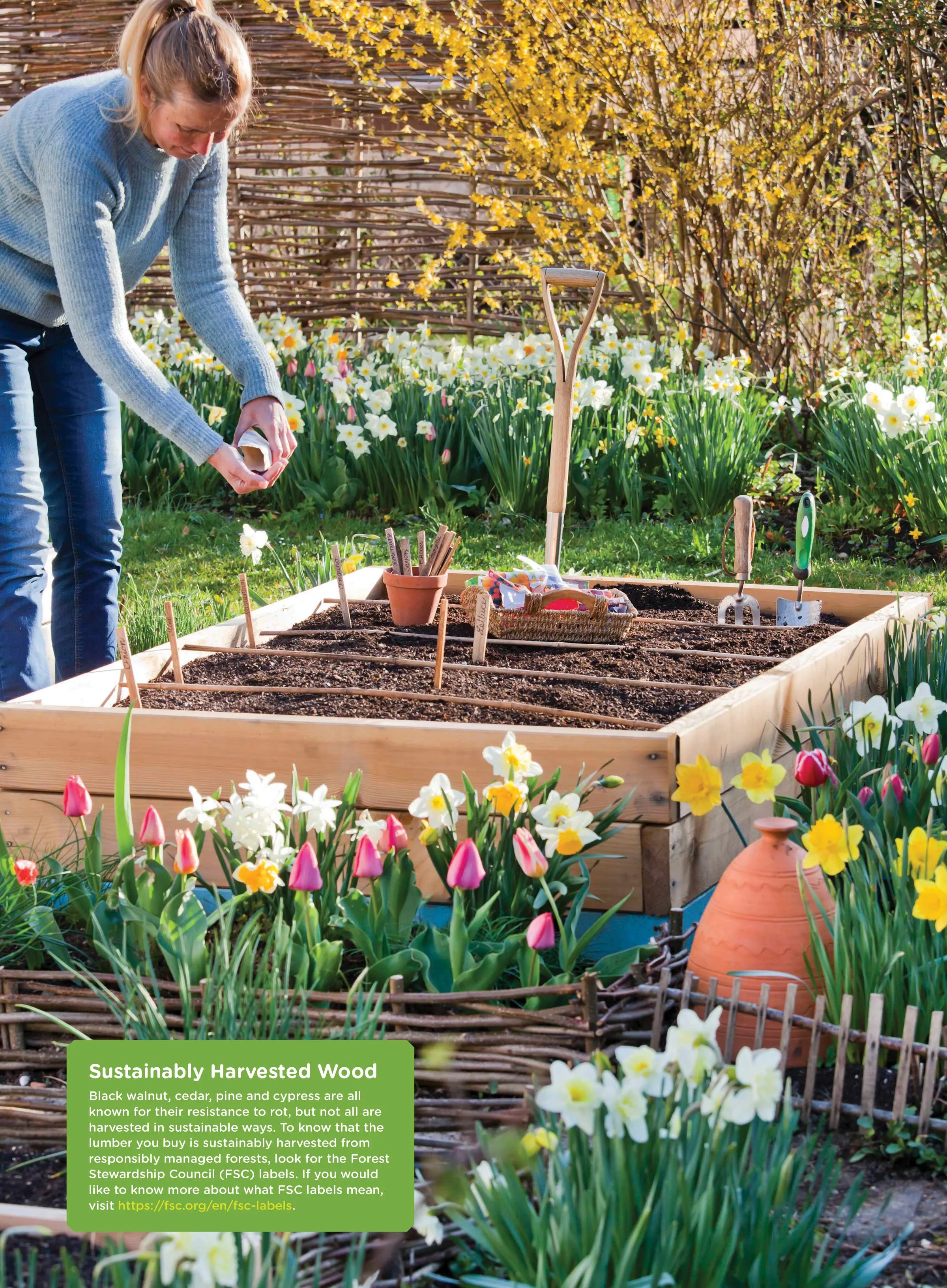 Spring Gardening - Indoor & Outdoor Gardens, Testing Soil, Planting, Watering, Tools, Shade, Pollinator, Containers, Cutting, Harvest, Tomatoes, Herbs, Raised Beds, Landscaping, Interior Design & More