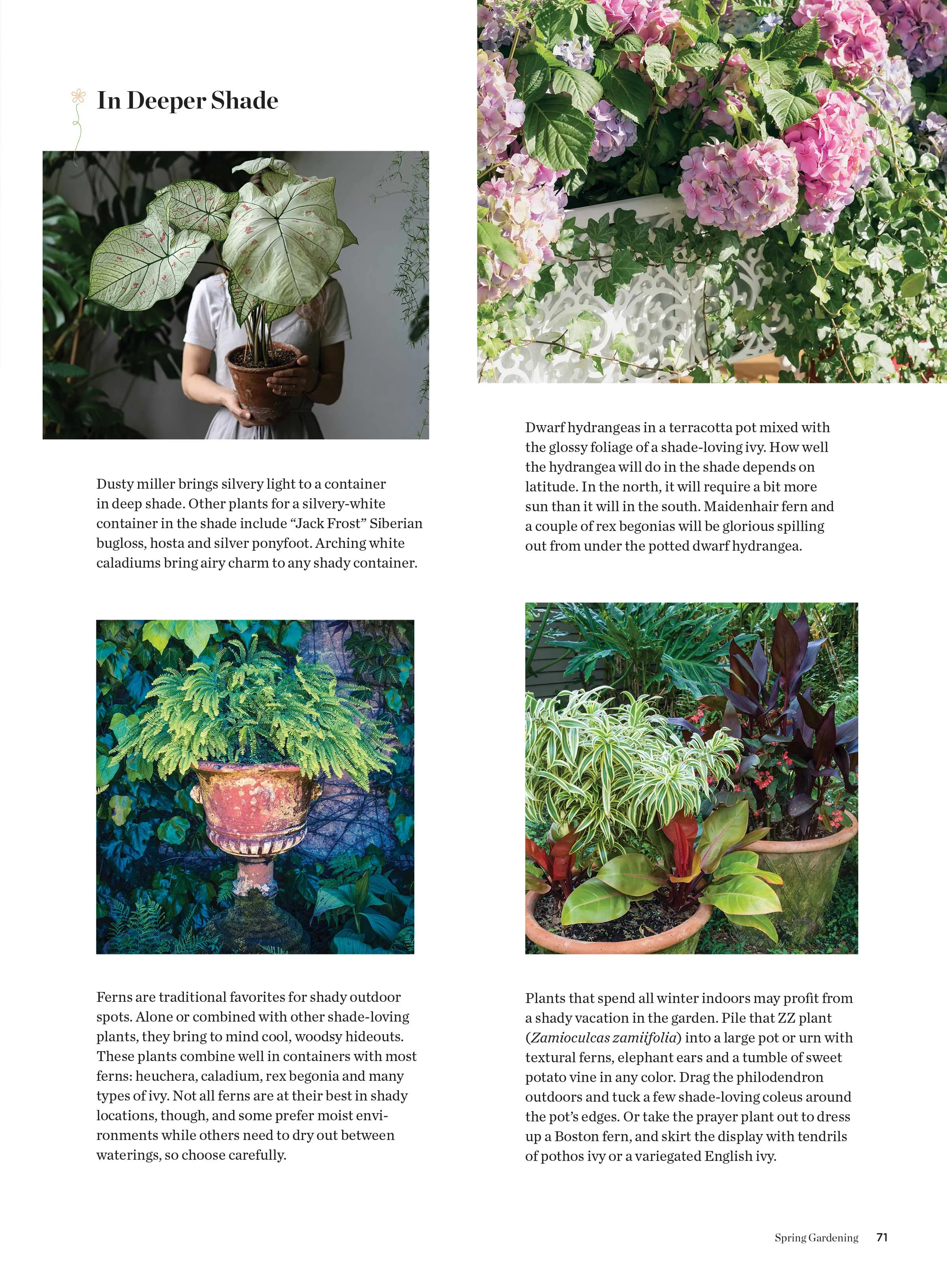 Spring Gardening - Indoor & Outdoor Gardens, Testing Soil, Planting, Watering, Tools, Shade, Pollinator, Containers, Cutting, Harvest, Tomatoes, Herbs, Raised Beds, Landscaping, Interior Design & More