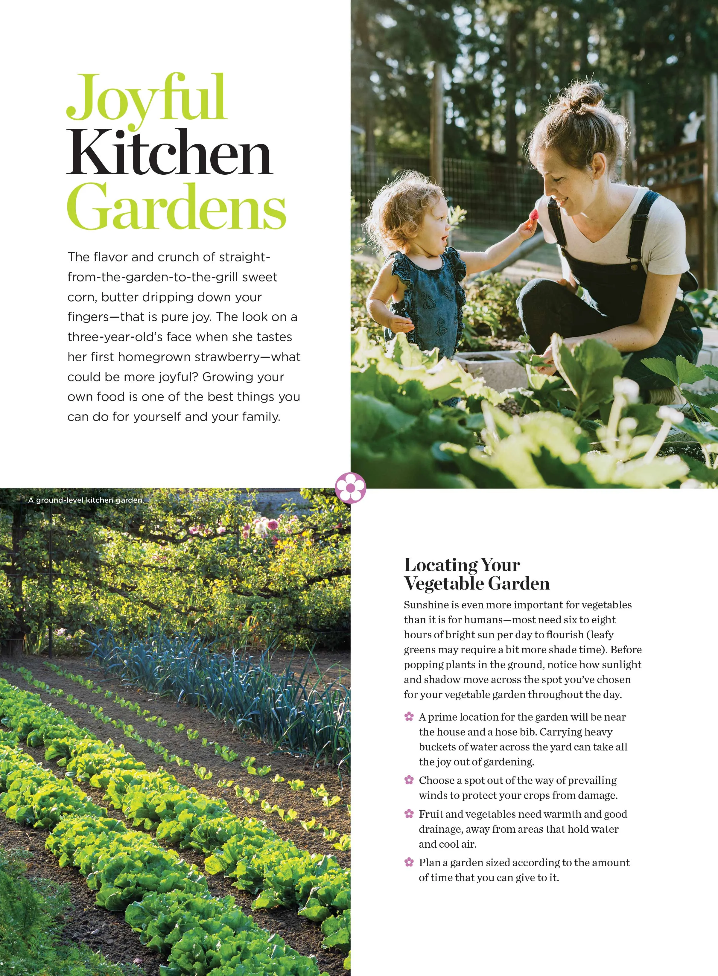 Spring Gardening - Indoor & Outdoor Gardens, Testing Soil, Planting, Watering, Tools, Shade, Pollinator, Containers, Cutting, Harvest, Tomatoes, Herbs, Raised Beds, Landscaping, Interior Design & More
