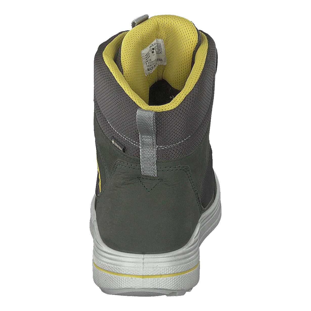 Urban Snowboarder Deep Forest/canary