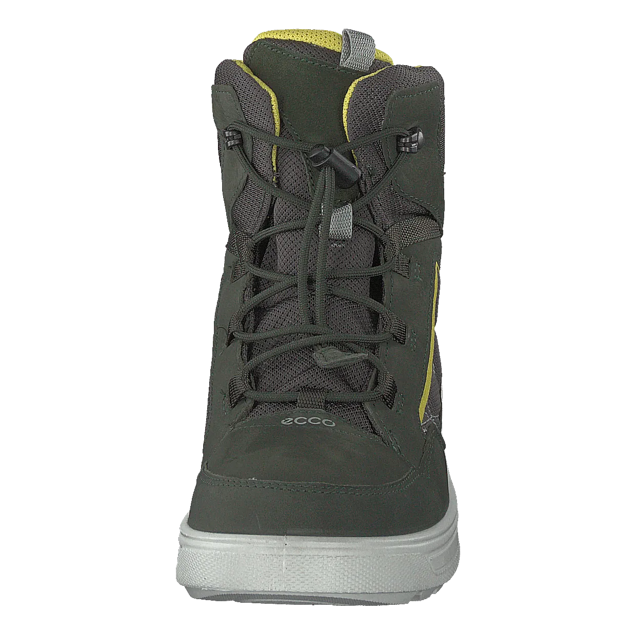 Urban Snowboarder Deep Forest/canary