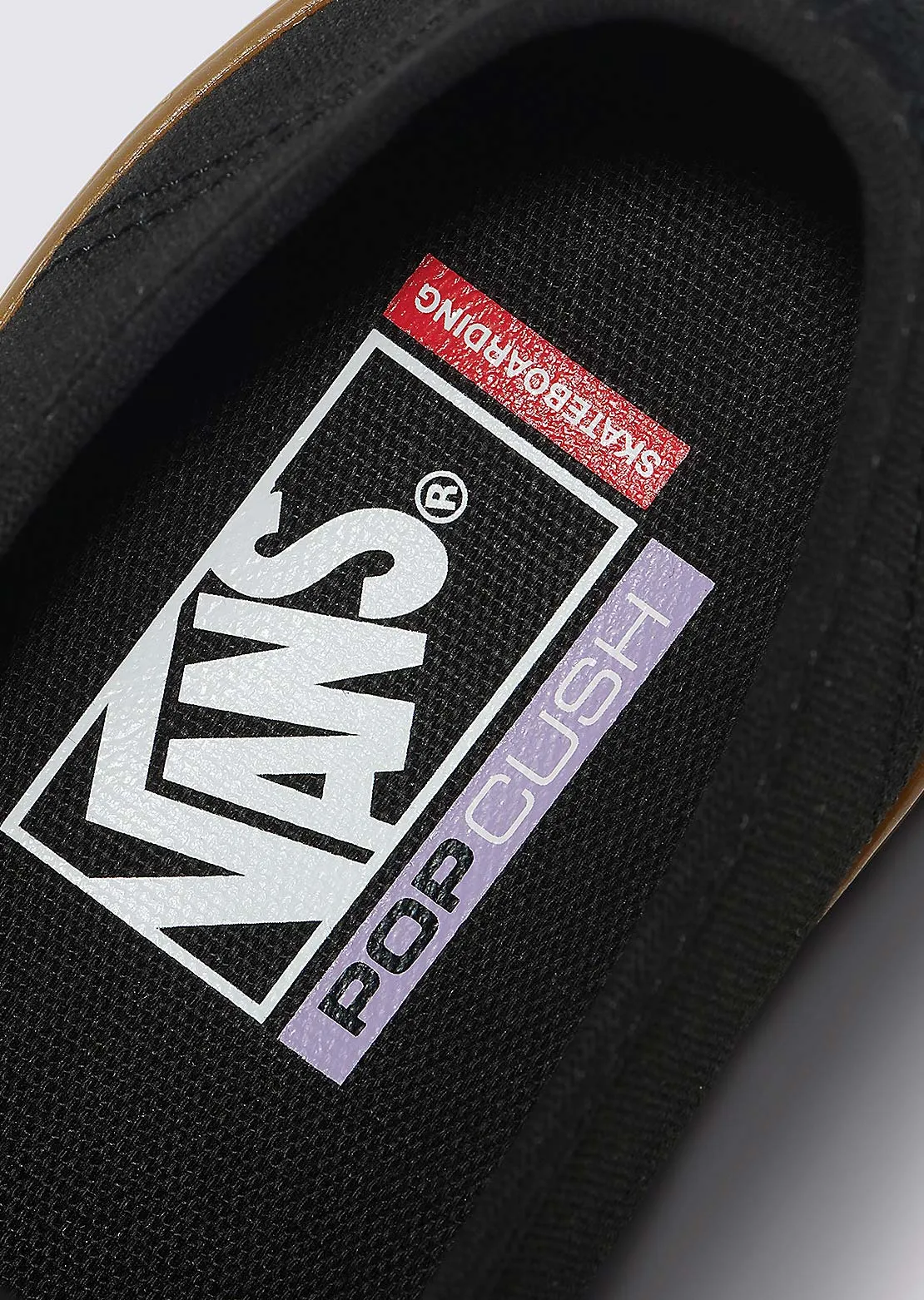 Vans Men's Skate Authentic Shoes